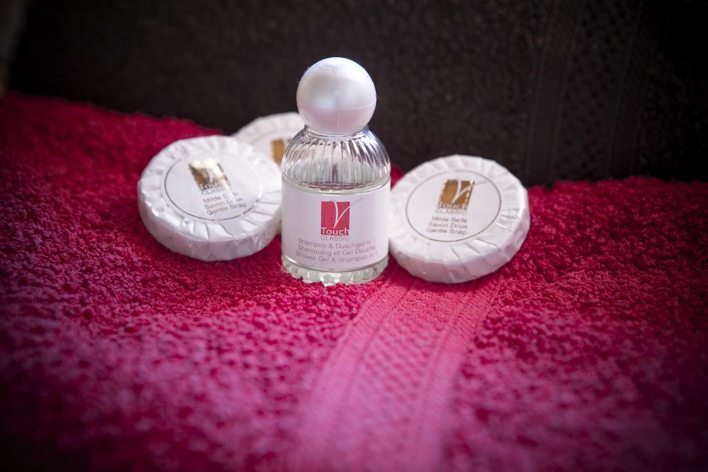 ホテルAltes Almhaus Maria Lankowitz 部屋 写真